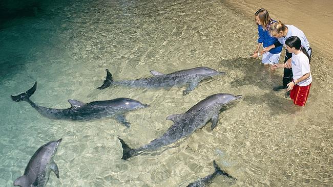 Morten Island Cruise - Cruise from Sydney to Moreton Island